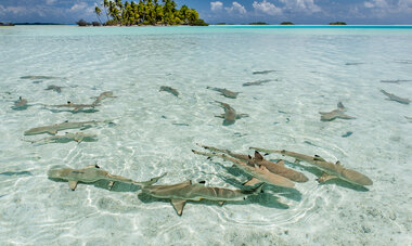 Rangiroa