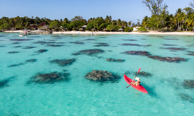 Kayak 
