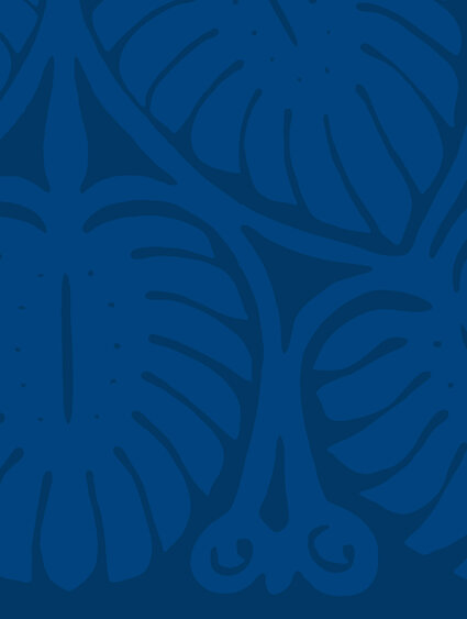 Banner-dblue