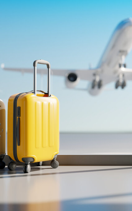 Valises